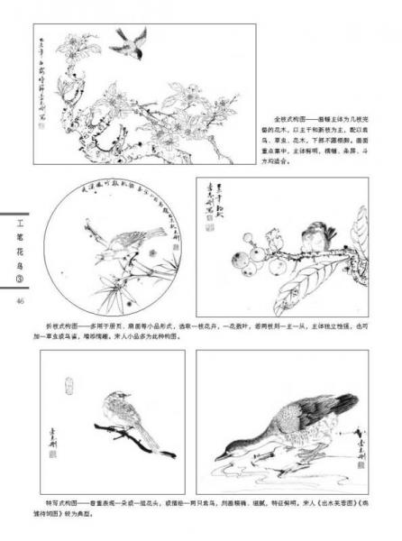 新编养心斋描摹画谱 工笔花鸟（3）