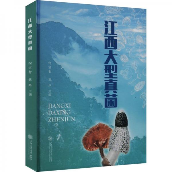 江西大型真菌 何宗智,魏華 編