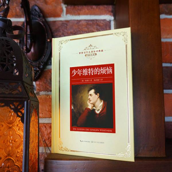少年维特的烦恼——新课标 长江名著名译