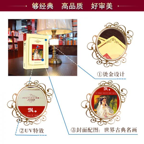 少年维特的烦恼——新课标 长江名著名译