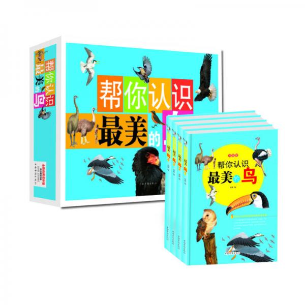 幫你認識最美的鳥（彩圖版）（套裝全4冊）