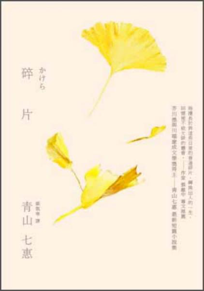 碎片