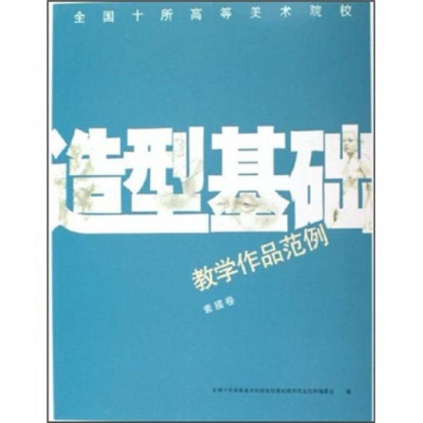 造型基礎(chǔ)教學(xué)作品范例（素描卷）