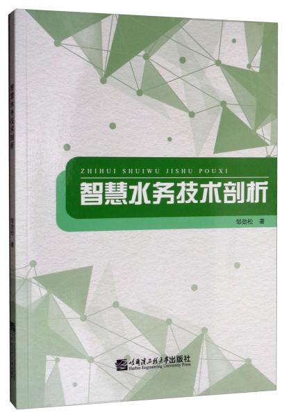智慧水務(wù)技術(shù)剖析