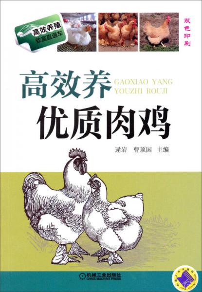 高效養(yǎng)殖致富直通車：高效養(yǎng)優(yōu)質(zhì)肉雞