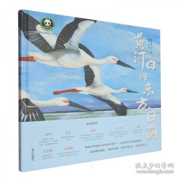 黃河口的東方白鸛
