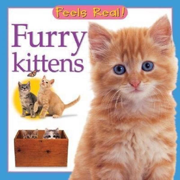 Furry Kittens 