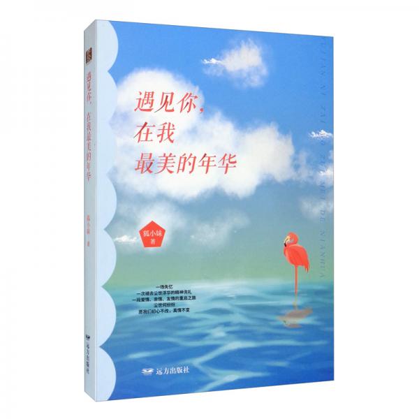 遇見你，在我最美的年華