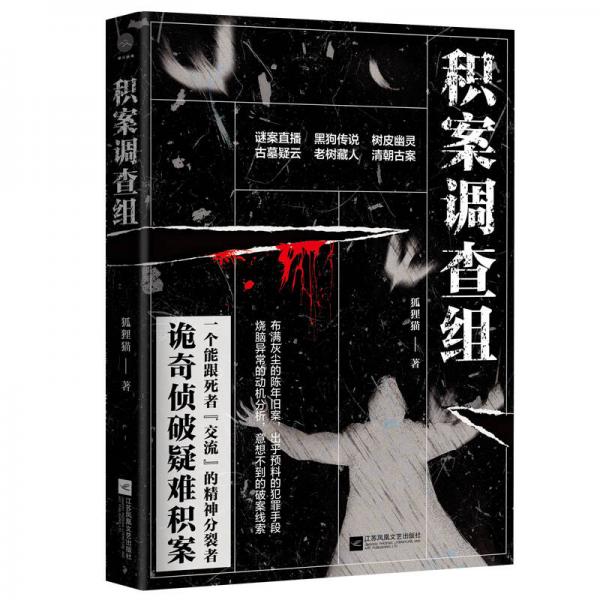 積案調(diào)查組