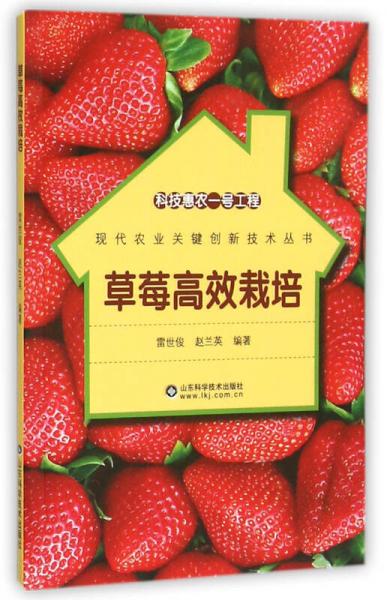 科技惠农一号工程 草莓高效栽培