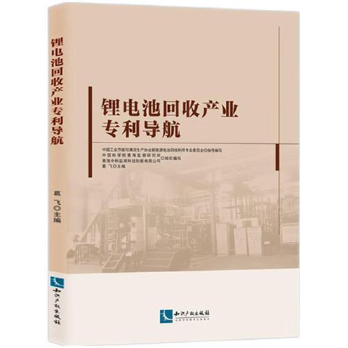 鋰電池回收產(chǎn)業(yè)專利導(dǎo)航