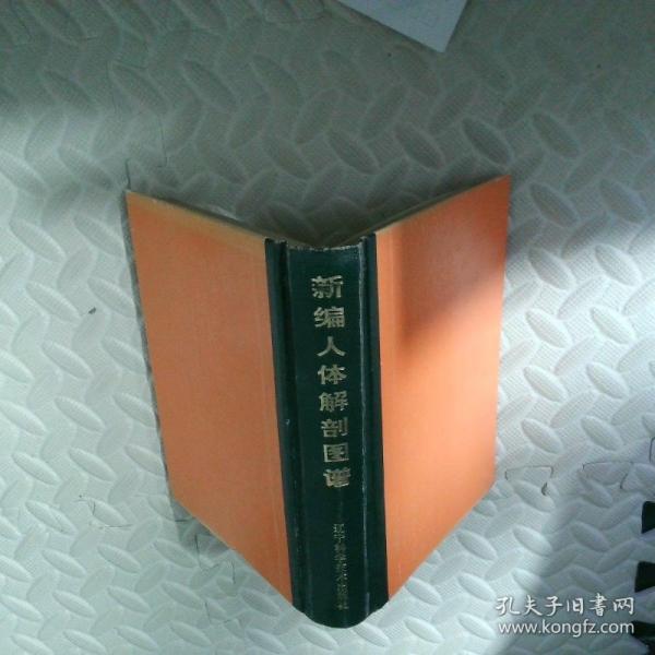新編人體解剖圖譜