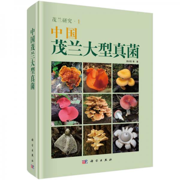 中国茂兰大型真菌