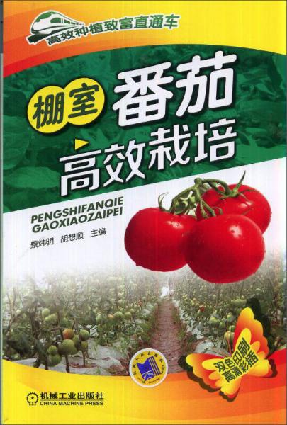 高效种植致富直通车：棚室番茄高效栽培