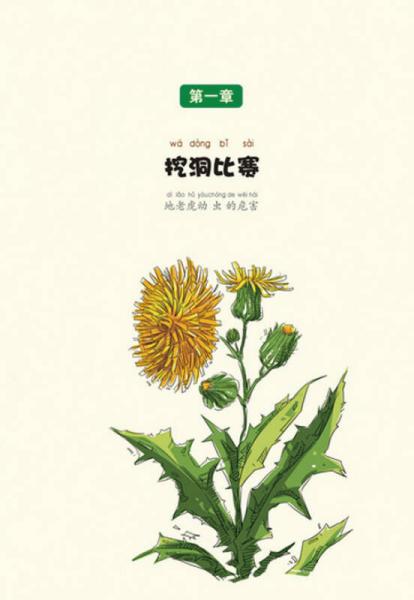 酷虫学校：乱作一团的运动会