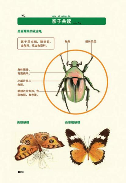 酷虫学校：乱作一团的运动会