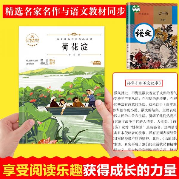 语文课本作家作品荷花淀