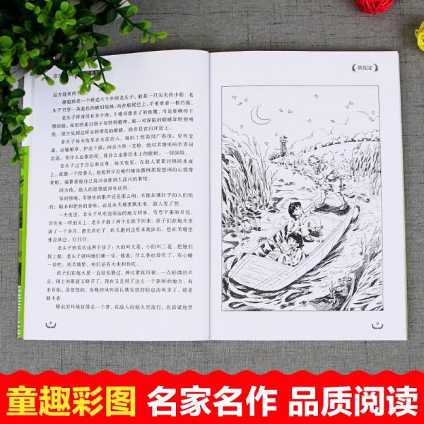 语文课本作家作品荷花淀