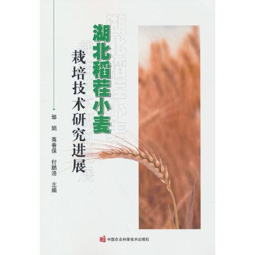 湖北稻茬小麦栽培技术研究进展