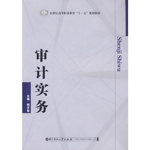 審計實務(wù)（明平智）