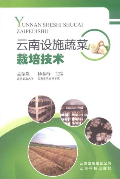 云南設(shè)施蔬菜栽培技術(shù)