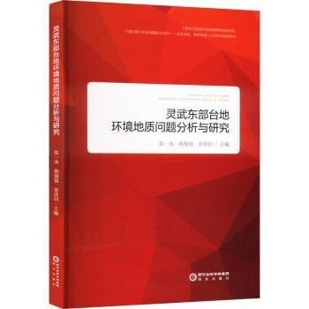 靈武東部臺地環(huán)境地質問題分析與研究