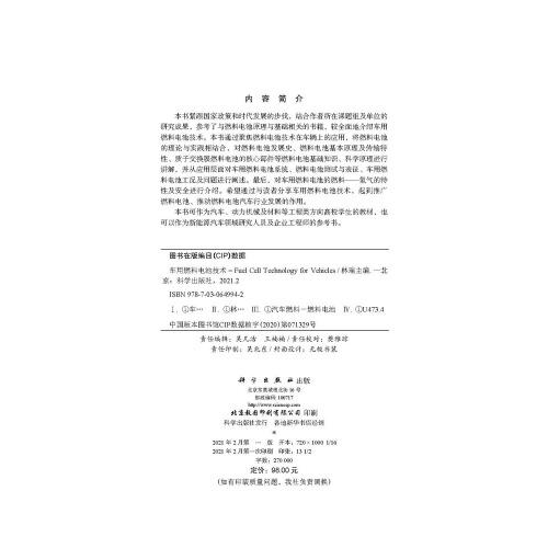 车用燃料电池技术