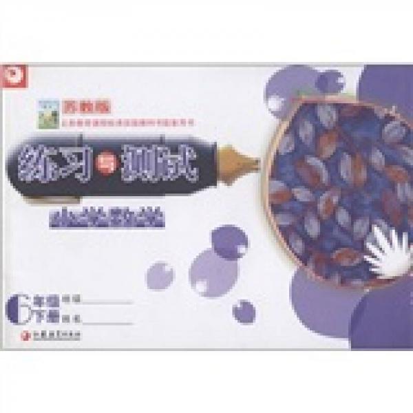 練習與測試：小學數(shù)學（六年級下冊）（蘇教版）