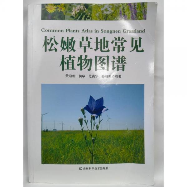 松嫩草地常見植物圖譜  