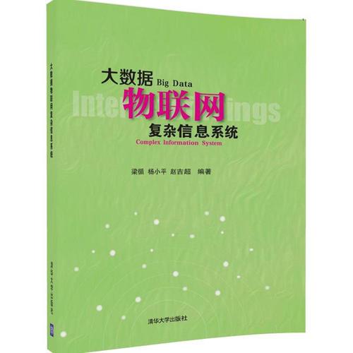大數(shù)據(jù)物聯(lián)網(wǎng)復(fù)雜信息系統(tǒng)