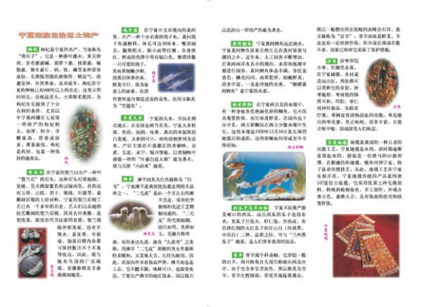 中国分省系列地图册：宁夏回族自治区地图册