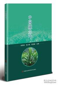 中国斑兰叶
