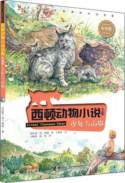 少年與山貓 
