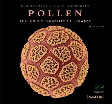 Pollen：Pollen