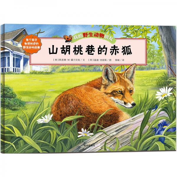 山胡桃巷的赤狐
