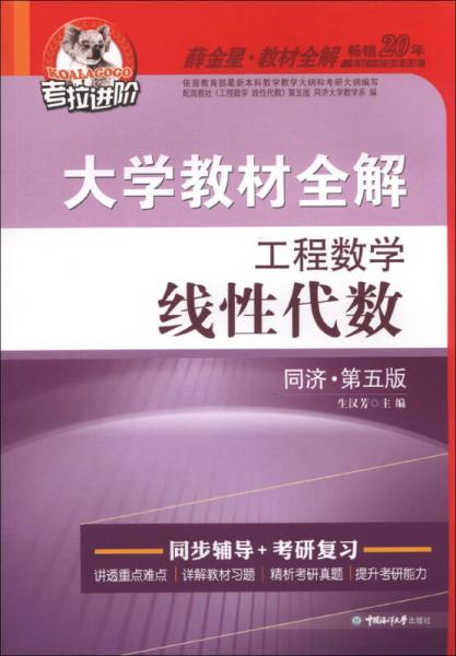 考拉進(jìn)階·大學(xué)教材全解：工程數(shù)學(xué)線性代數(shù)（同濟(jì)·第5版）（2013版）