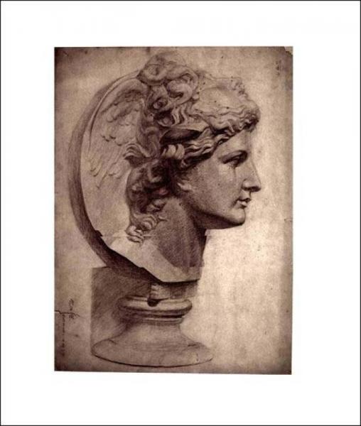 中央美术学院藏石膏素描作品经典