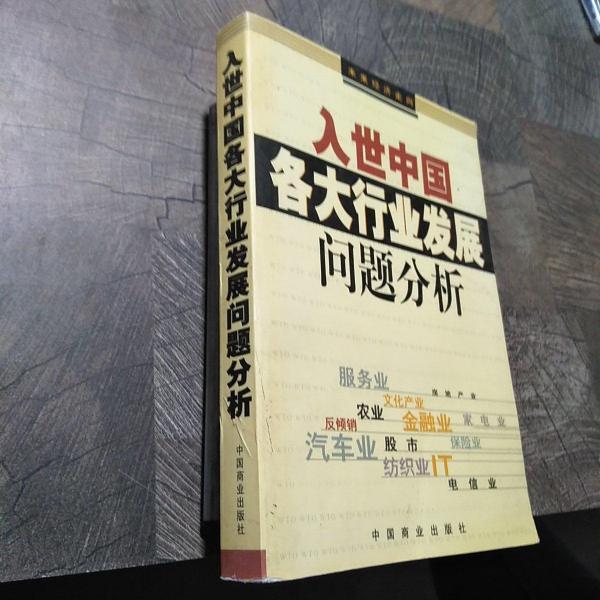 入世中國各大行業(yè)發(fā)展問題分析