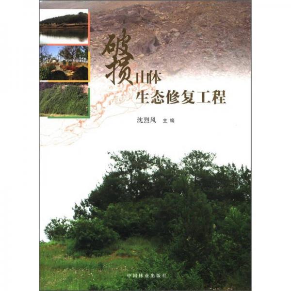 破損山體生態(tài)修復(fù)工程