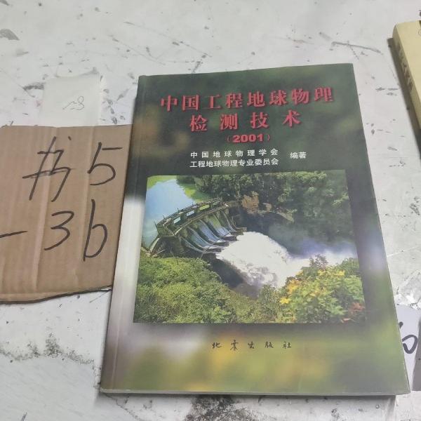 中國工程地球物理檢測技術(shù):2001