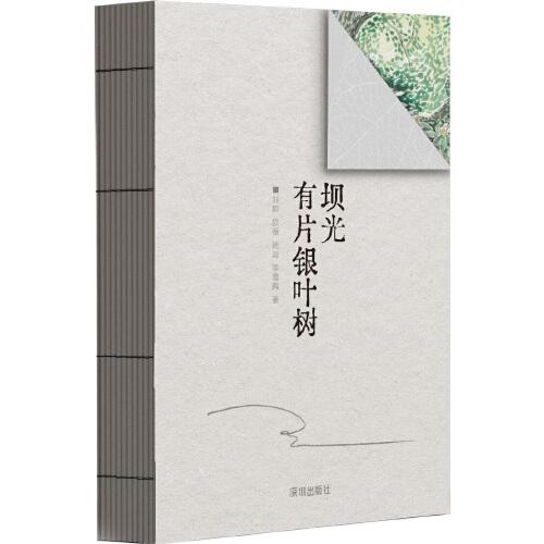 坝光有片银叶树