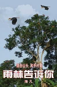 雨林告訴你