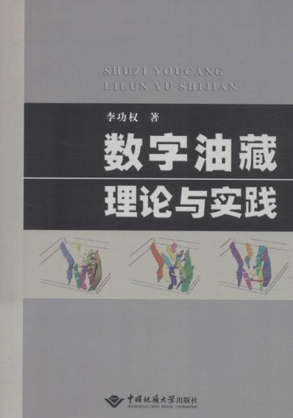 數字油藏理論與實踐