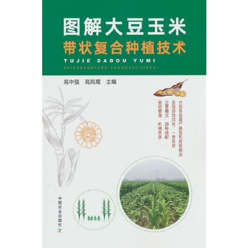 圖解大豆玉米帶狀復(fù)合種植技術(shù)