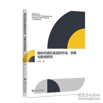 组织内团队断层的形成、发展与影响研究