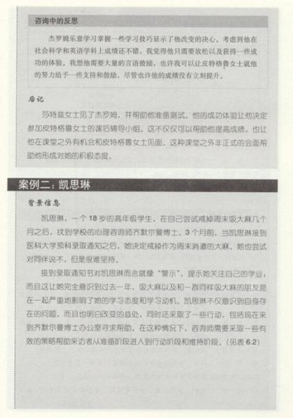 中小学心理教师的视角与行动丛书:学校里的整合型心理治疗：将理论转化为实践