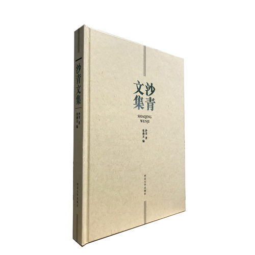 沙青文集