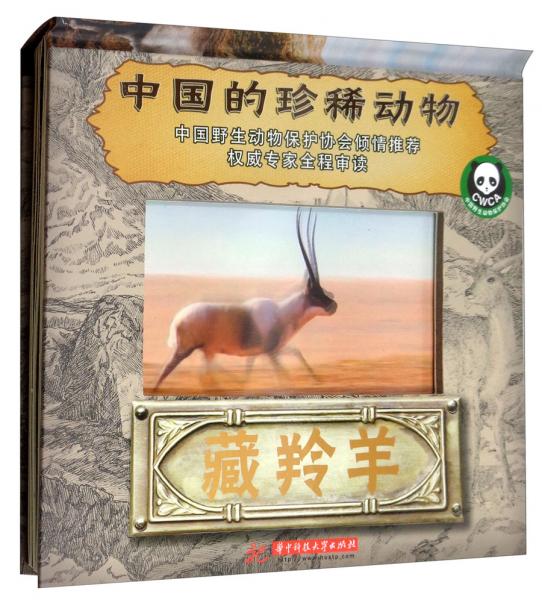 藏羚羊/中国的珍稀动物