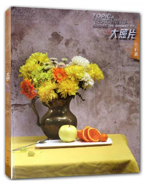 主题教学大照片系列丛书：大照片（色彩篇）