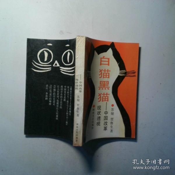 白貓黑貓:中國改革現(xiàn)狀透視